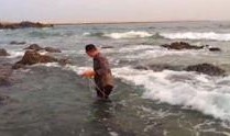 赶海视频爆料,揭秘海洋宝藏的神秘之旅